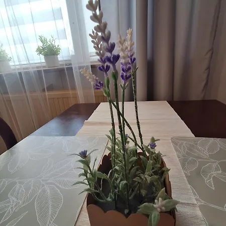Apartmán ,,Arts Home,, ,Zapraszam Bezplatny Parking Blisko Las,Duzo Przyrody, Spokojna Okolica,Centrum Kardiologii,Centrum Szkoleniowe,Trasa Na Lublin,Ukraine,Mieszkanie Przestronne,Czyste,Spokojna Okolica,Blisko Aldi,Lidl,Zabka,Rossmann,Pkp, Ztm